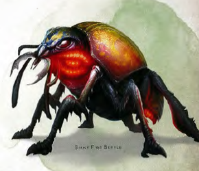 Giant Fire Beetle